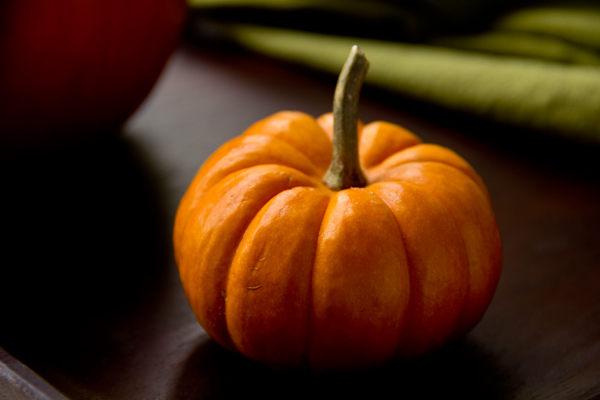 Decorative Mini Pumpkin | thecozyapron.com