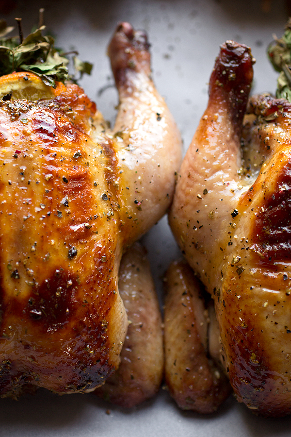 Cornish Hen Recipe | thecozyapron.com
