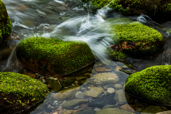 From the Heart: When the Waters Are Still