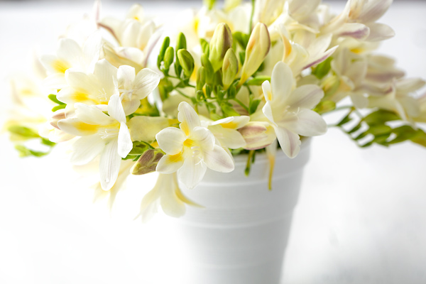 From the Heart: The Mystery of the Flowers in the Cup