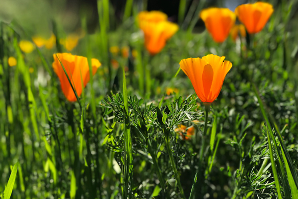 From the Heart: And The Cycle of Life Begins Again...