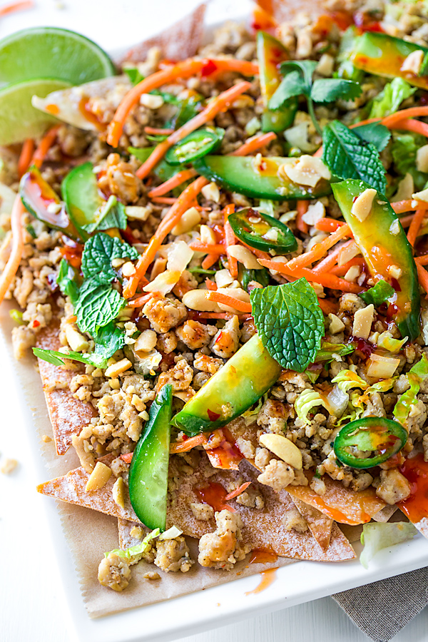 Thai Nachos | thecozyapron.com