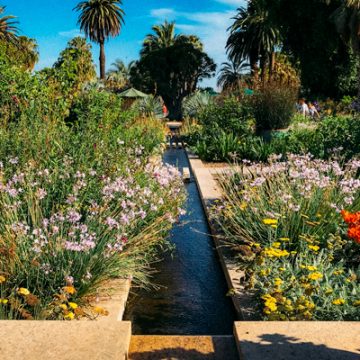 Huntington Gardens
