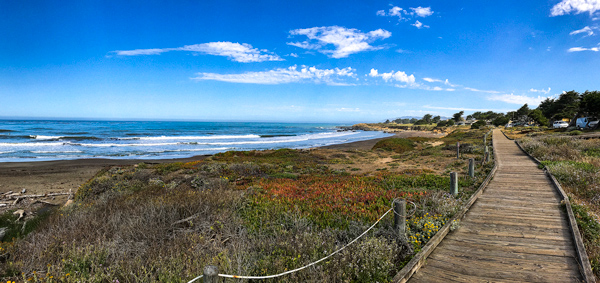 Morning, Moonstone Beach, Cambria, California | thecozyapron.com