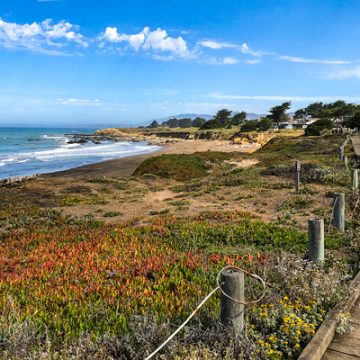 Morning, Moonstone Beach, Cambria, California | thecozyapron.com