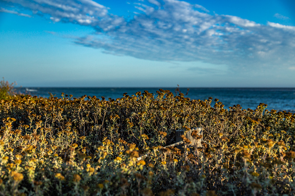 Sunset, Moonstone Beach, Cambria, California  | thecozyapron.com