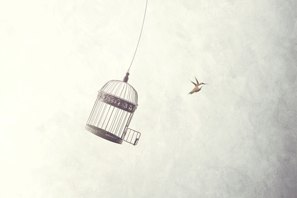 From the Heart: It Takes Courage