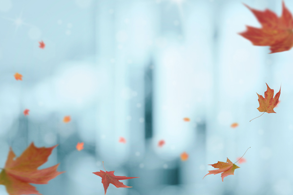 From the Heart: Changing Seasons