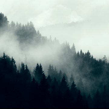 Mountain Mist | thecozyapron.com