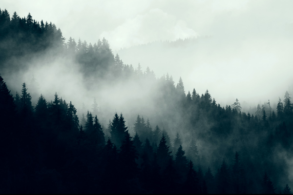 From the Heart: In the Mystery