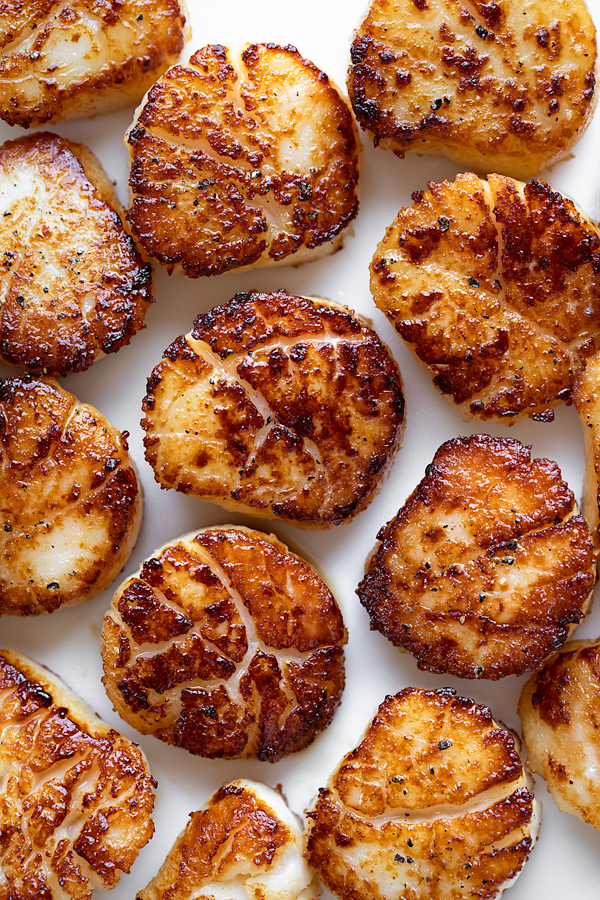 Pan Seared Scallops | thecozyapron.com