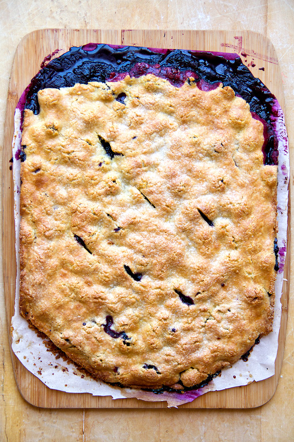 Blueberry Bars | thecozyapron.com