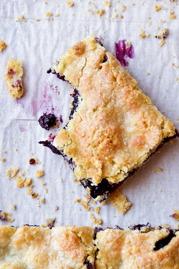 Blueberry Bars | thecozyapron.com