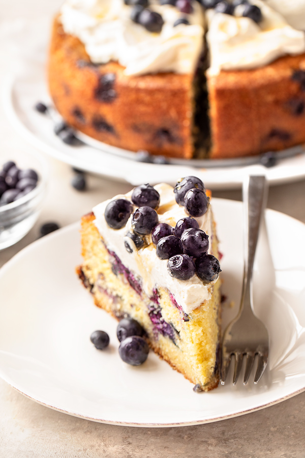 Slice of Lemon Blueberry Cake | thecozyapron.com