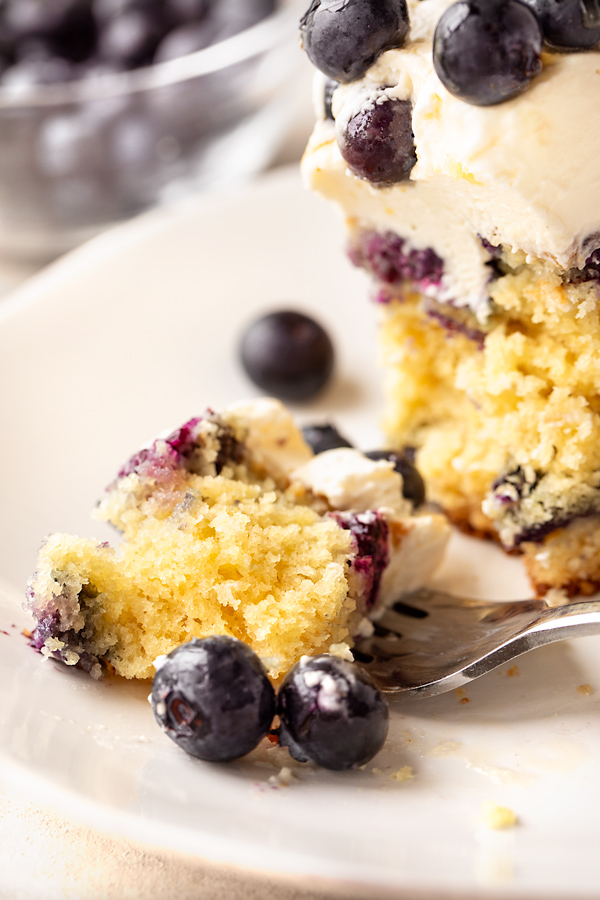 Lemon Blueberry Cake | thecozyapron.com